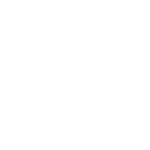 Team Spirit