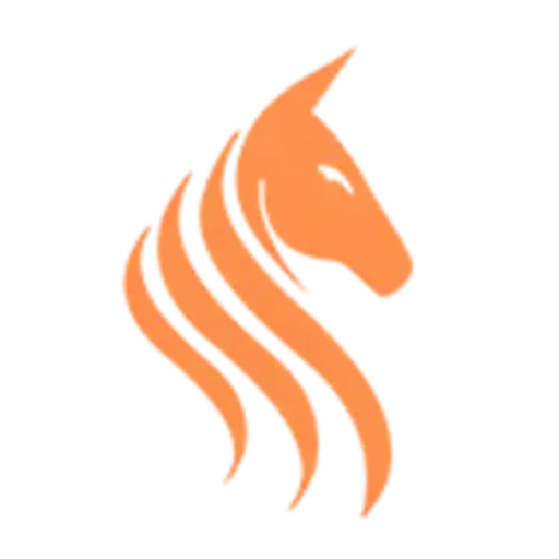Team Stallions