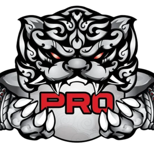 PRO Esports