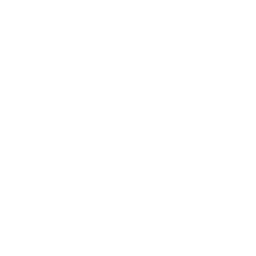 Team Spirit