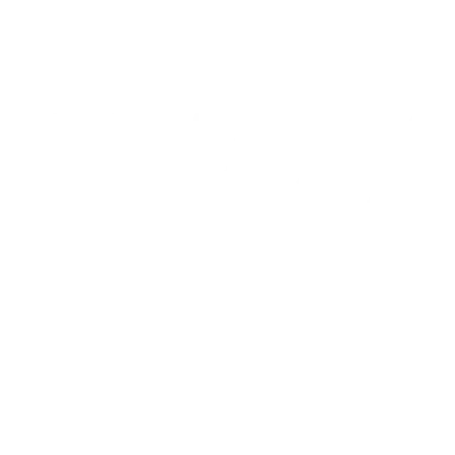 Chippy Chips
